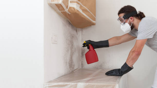 Professional Attic Mold Removal technician working in Topping, VA
