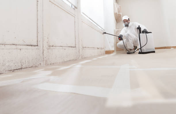 24/7 Emergency Attic Mold Removal experts in Topping, VA